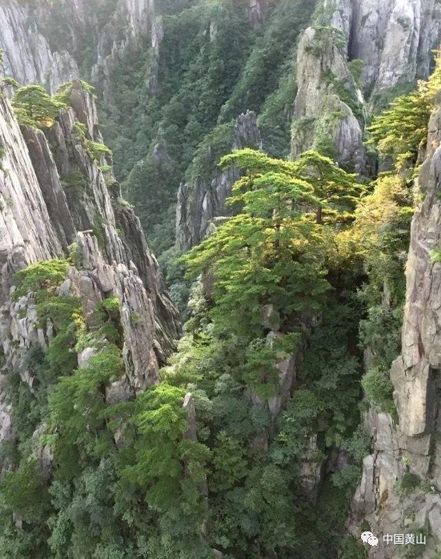 归家异途