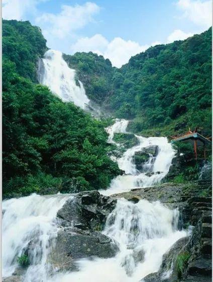 水果时尚风格