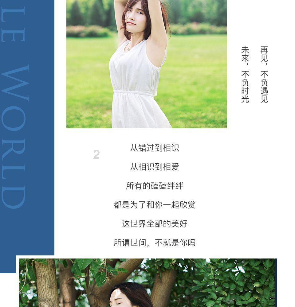 武斗纹章2初篇
