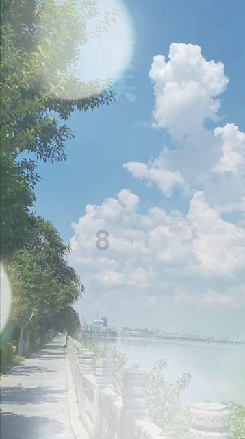 小猫钓鱼正版下载中文版